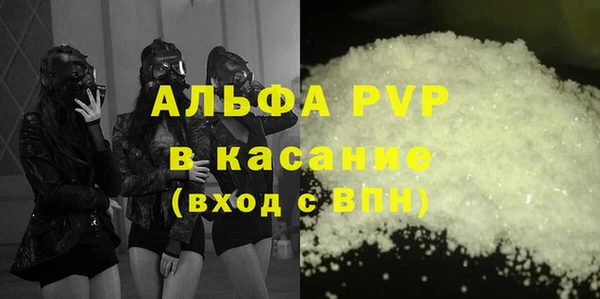 МДПВ Бородино