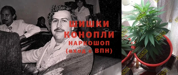 гидра Верея