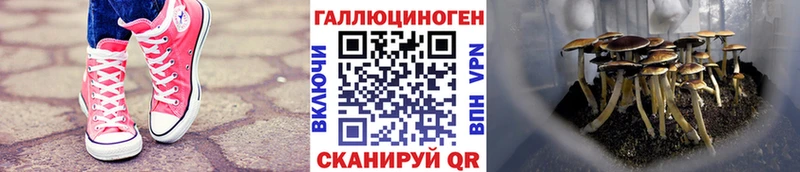 OMG ONION  Улан-Удэ  Псилоцибиновые грибы MAGIC MUSHROOMS  где можно купить наркотик 